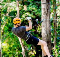 TreeTop Challenge Currumbin - Accommodation Tasmania