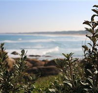 Cape Conran Nature Trail - Accommodation Tasmania