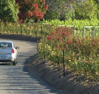 Cassegrain Wines - Accommodation Tasmania
