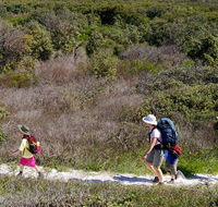 Yuraygir coastal walk - Accommodation Tasmania