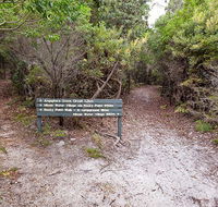 Angophora grove walking track - Accommodation Tasmania