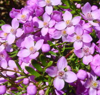 Broadwater National Park - Accommodation Tasmania