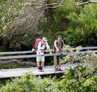 Wilsons Headland walking track - Accommodation Tasmania