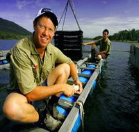 Armstrong Oysters - Accommodation Tasmania