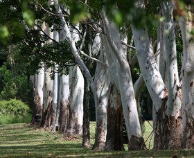 Teven Valley Golf Course - Accommodation Tasmania 1