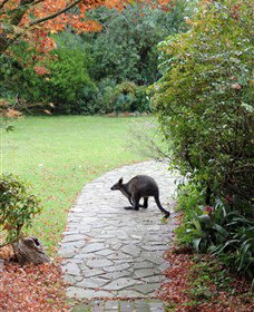 Narek Galleries - Accommodation Tasmania 2