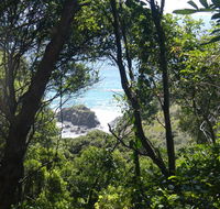 Rainforest walking track - Accommodation Tasmania