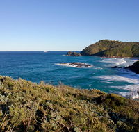 Smoky Cape walking track - Accommodation Tasmania