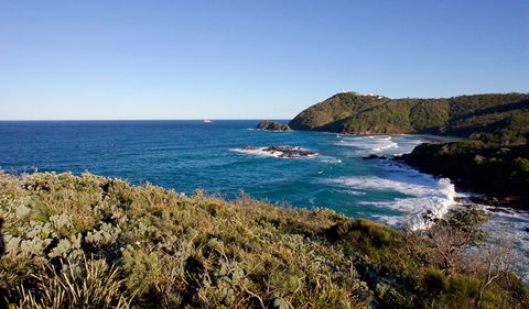 Smoky Cape Walking Track - Accommodation Tasmania 0