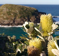 Green Island walking track - Accommodation Tasmania