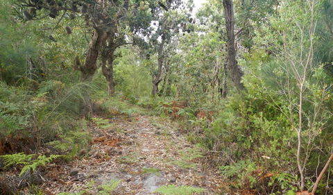 Kinchela Trig Lookout Walk - Accommodation Tasmania 0