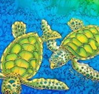 Sea Silks Gallery - Accommodation Tasmania