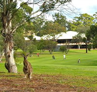 Pambula Merimbula Golf Club - Accommodation Tasmania
