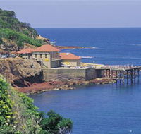 Merimbula Aquarium - Accommodation Tasmania