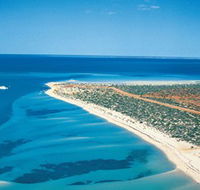 Monkey Mia - Accommodation Tasmania