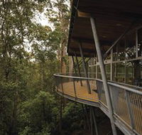 Tarkine Forest Adventures - Dismal Swamp - Accommodation Tasmania