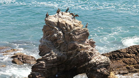 Ben Boyd National Park - Accommodation Tasmania 2