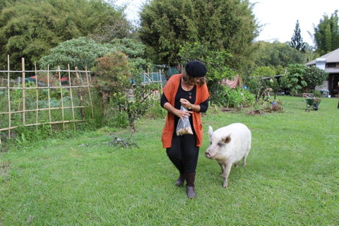 Djanbung Permaculture Gardens - Accommodation Tasmania 7