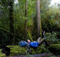The Tarkine Drive - Accommodation Tasmania