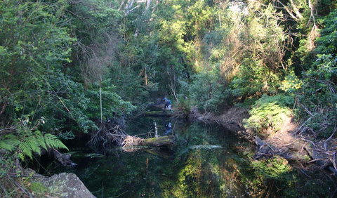 Nadgee Nature Reserve - Accommodation Tasmania 2