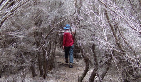 Nadgee Nature Reserve - Accommodation Tasmania 3