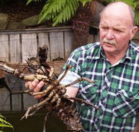 Lobster Ponds - Accommodation Tasmania