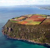 Table Cape - Accommodation Tasmania