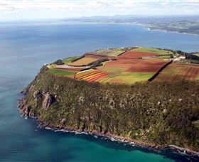 Table Cape - Accommodation Tasmania 0