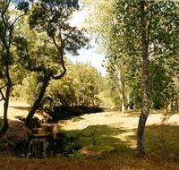 Oldina Picnic Area - Accommodation Tasmania