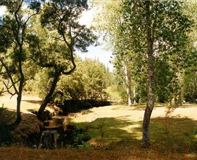Oldina Picnic Area - Accommodation Tasmania 0