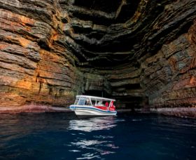 Extreme - Accommodation Tasmania 4
