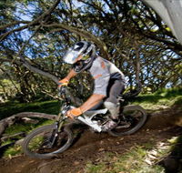 All Terrain Cycles - Accommodation Tasmania