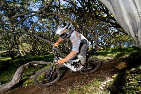 All Terrain Cycles - Accommodation Tasmania 0