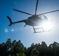 Tall Timbers Adventure Tours - Accommodation Tasmania