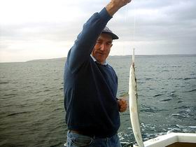 Tory M Fishing Charters - Accommodation Tasmania 1