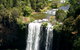 A1 Coffs Coast Tours - thumb 4