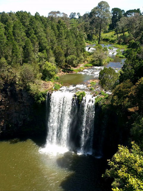 A1 Coffs Coast Tours - Accommodation Tasmania 5