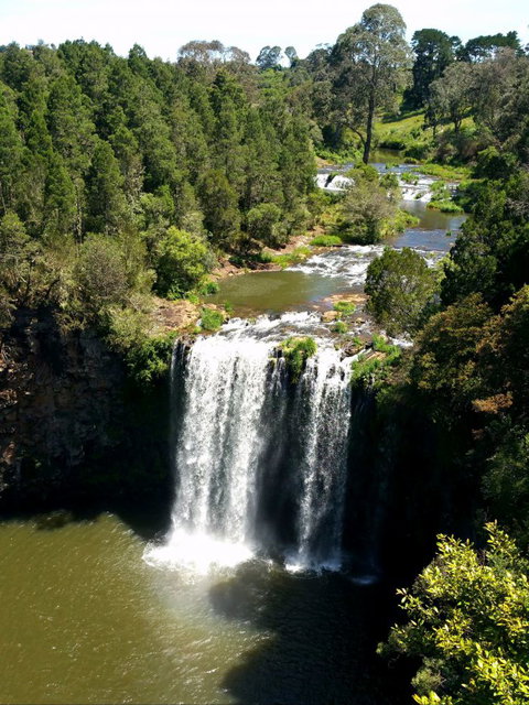 A1 Coffs Coast Tours - Accommodation Tasmania 6