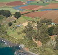 Winged House - The - Accommodation Tasmania