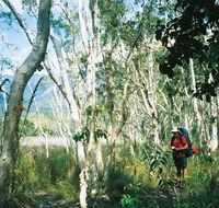 Thorsborne Trail Hinchinbrook Island National Park - Accommodation Tasmania