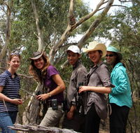 Echidna Walkabout Nature Tours - Accommodation Tasmania