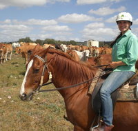 Myella Farm Stay Tours - Accommodation Tasmania