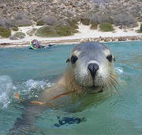 Calypso Star Charters - Accommodation Tasmania