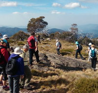 Hedonistic Hiking - Accommodation Tasmania