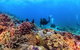 Sunreef Mooloolaba - thumb 9