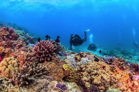 Sunreef Mooloolaba - Accommodation Tasmania 9