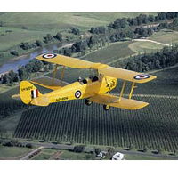 Royal Newcastle Aero Club - Accommodation Tasmania