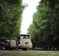 ODempseys Charters and Tours - Accommodation Tasmania