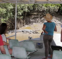 Whitsunday Crocodile Safari - Accommodation Tasmania