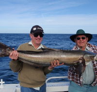 Reel Time Charters Yamba - Accommodation Tasmania